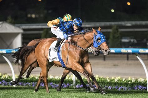 Moonee Valley R7 .